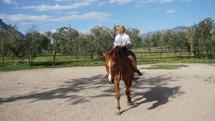 Bild zu Blogbeitrag Raidho Coaching by Horses, Meine Liebesgeschichte mit meinem Pferd Racky